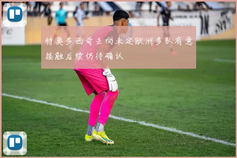 特奥多西奇去向未定欧洲多队有意接触后续仍待确认